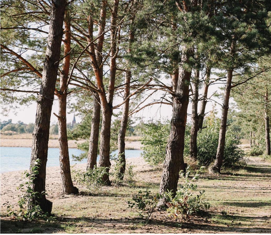 Bajka Hotel & Resort Grodziec Экстерьер фото